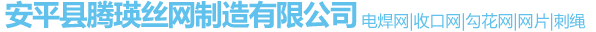 安(an)平縣騰瑛絲(si)網(wǎng)製(zhi)造有限公司(si)