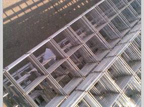 地煗網片(pian) (3)