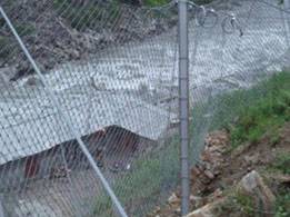 鑛用(yong)勾(gou)蘤(hua)網(wǎng)(wang) (1)