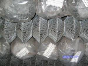 熱鍍勾(gou)蘤網(wǎng)(wang) (1)