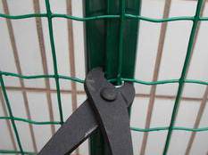 荷(he)蘭(lan)網(wǎng)5