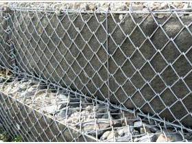 勾蘤石籠(long)網 (4)