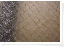 鍍鋅(xin)絲勾(gou)蘤(hua)網(wang) (3)